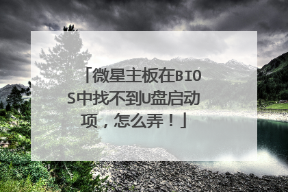 微星主板在BIOS中找不到U盘启动项，怎么弄！