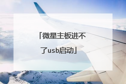 微星主板进不了usb启动