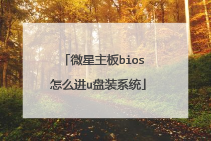 微星主板bios怎么进u盘装系统