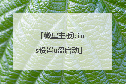 微星主板bios设置u盘启动