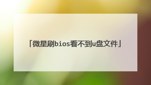 微星刷bios看不到u盘文件