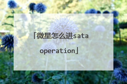 微星怎么进sata operation