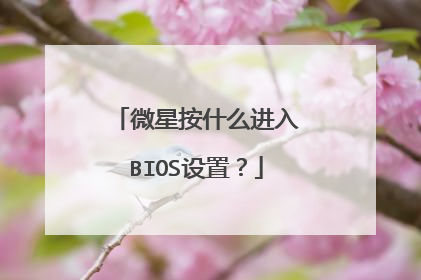 微星按什么进入BIOS设置?