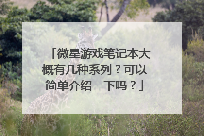 微星游戏笔记本大概有几种系列？可以简单介绍一下吗？