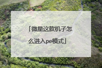 微星这款机子怎么进入pe模式