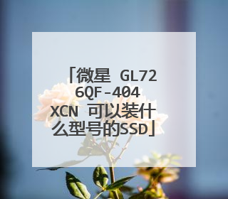 微星 GL72 6QF-404XCN 可以装什么型号的SSD