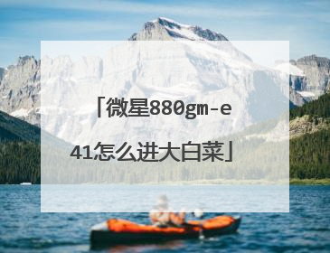 微星880gm-e41怎么进大白菜