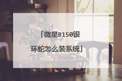 微星B150银环蛇怎么装系统