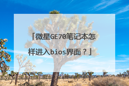 微星GE70笔记本怎样进入bios界面?