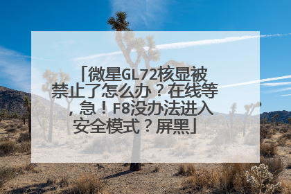微星GL72核显被禁止了怎么办?在线等,急!F8没办法进入安全模式?屏黑
