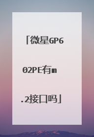 微星GP602PE有m.2接口吗