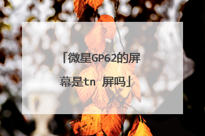 微星GP62的屏幕是tn 屏吗