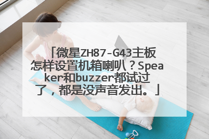 微星ZH87-G43主板怎样设置机箱喇叭?Speaker和buzzer都试过了,都是没声音发出。