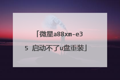 微星a88xm-e35 启动不了u盘重装