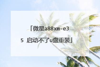 微星a88xm-e35 启动不了u盘重装