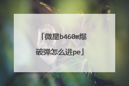 微星b460m爆破弹怎么进pe