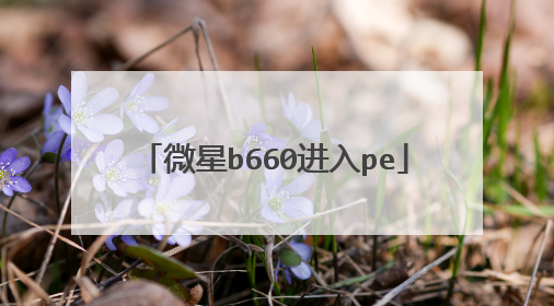 微星b660进入pe