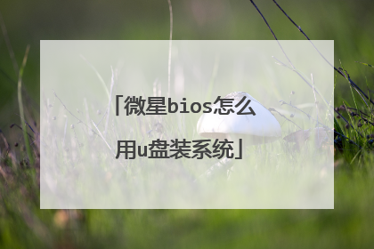 微星bios怎么 用u盘装系统