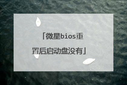 微星bios重置后启动盘没有