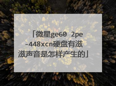 微星ge60 2pe-448xcn硬盘有滋滋声音是怎样产生的