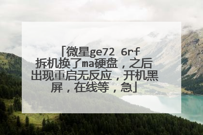 微星ge72 6rf拆机换了ma硬盘,之后出现重启无反应,开机黑屏,在线等,急