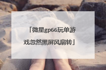 微星gp66玩单游戏忽然黑屏风扇转