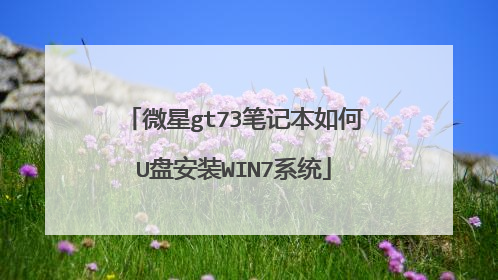 微星gt73笔记本如何U盘安装WIN7系统