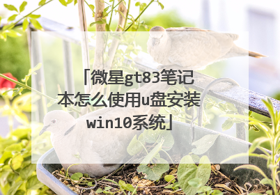 微星gt83笔记本怎么使用u盘安装win10系统