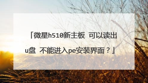 微星h510新主板 可以读出u盘 不能进入pe安装界面?