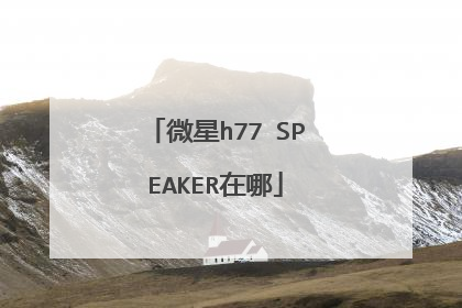微星h77 SPEAKER在哪