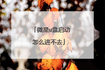 微星u盘启动怎么进不去