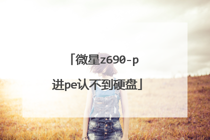 微星z690-p进pe认不到硬盘