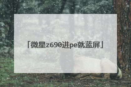 微星z690进pe就蓝屏
