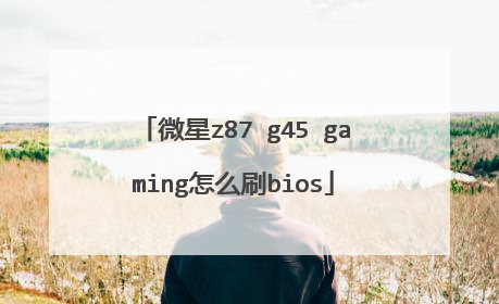 微星z87 g45 gaming怎么刷bios