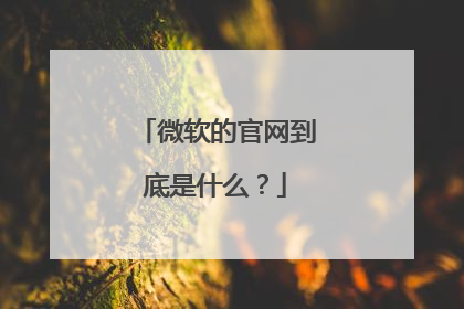 微软的官网到底是什么?