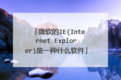 微软的IE(Internet Explorer)是一种什么软件