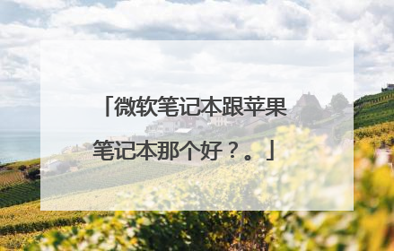 微软笔记本跟苹果笔记本那个好?。