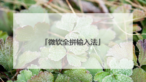 微软全拼输入法