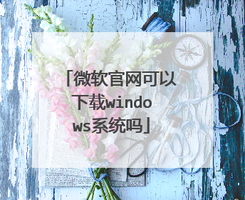 微软官网可以下载windows系统吗