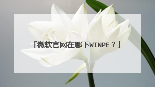 微软官网在哪下WINPE？