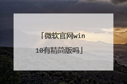 微软官网win10有精简版吗