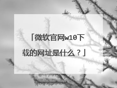 微软官网w10下载的网址是什么?