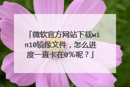 微软官方网站下载win10镜像文件，怎么进度一直卡在0％呢？