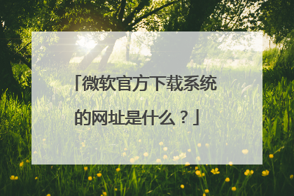 微软官方下载系统的网址是什么?