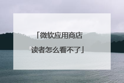 微软应用商店 读者怎么看不了