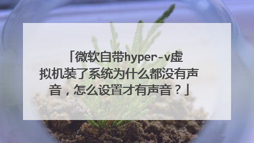 微软自带hyper-v虚拟机装了系统为什么都没有声音,怎么设置才有声音?