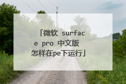 微软 surface pro 中文版 怎样在pe下运行