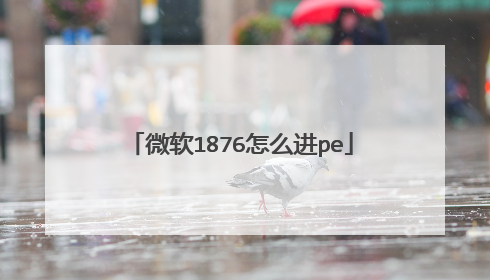 微软1876怎么进pe