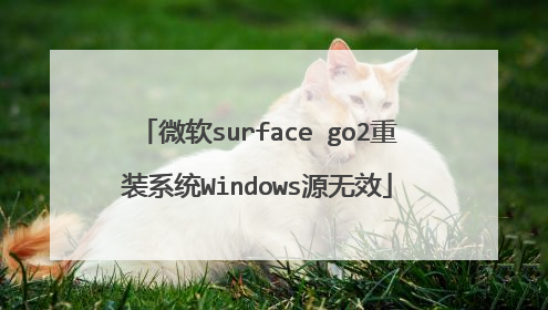 微软surface go2重装系统Windows源无效