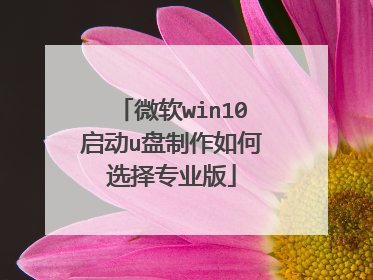 微软win10启动u盘制作如何选择专业版